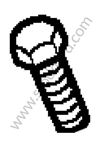 99907315202 - TORX SCREW for Porsche 997 Gt3 / Gt3-2 &bull; 2007 &bull; 997 Gt3 3.6 &bull; Coupe &bull; Manual Gearbox, 6 Speed