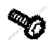 OVAL-HEAD SCREW