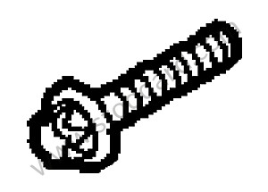 TORX SCREW 