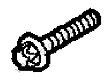 TORX SCREW