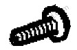 OVAL-HEAD SCREW