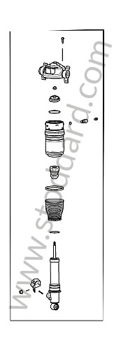95535802002 - SPRING STRUT for Porsche Cayenne 957 07-10 &bull; 2009 &bull; Cayenne Diesel &bull; Automatic Gearbox