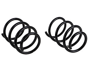 COIL SPRING  (98733353129504)