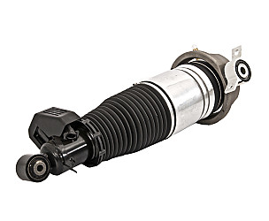 SPRING STRUT  (95533303444)