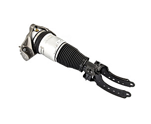SPRING STRUT  (95534303322)