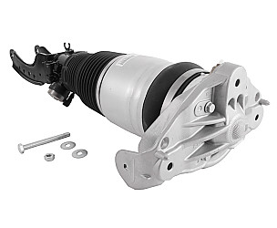 SPRING STRUT  (95534303345)