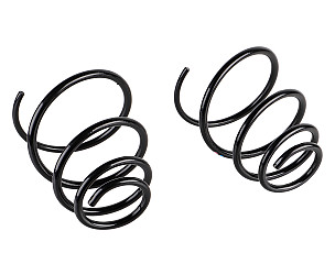 COIL SPRING  (99734353140504)