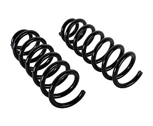 COIL SPRING  (95533353110504)