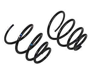COIL SPRING  (99734353342504)