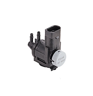Air injection for Porsche Cayenne 955 03-06 &bull; 2003 &bull; Cayenne V6 &bull; Manual Gearbox, 6 Speed