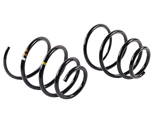 COIL SPRING  (99734353331504)