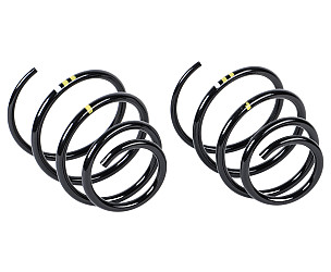 COIL SPRING  (99734353333504)