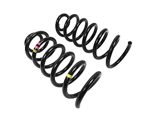 COIL SPRING  (99733353183504)