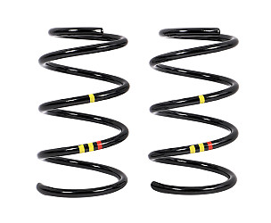 COIL SPRING  (98733353188504)