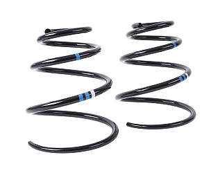 COIL SPRING  (98734353111504)