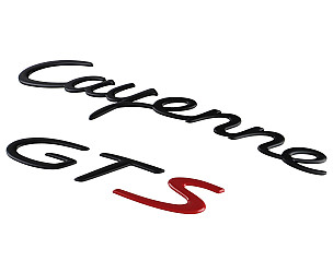LOGO  (9555590400003C)