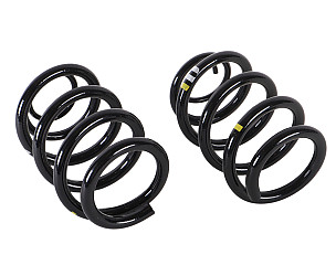 COIL SPRING  (99733353188504)