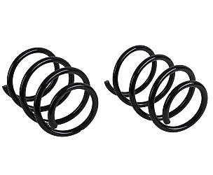 COIL SPRING  (9873335311F504)