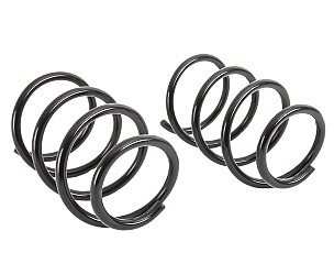 COIL SPRING  (98733353182504)