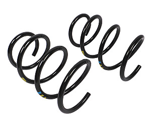COIL SPRING  (98733353184504)