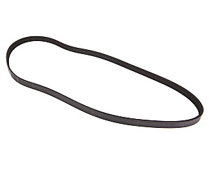 POLY-RIB BELT  (99919236551)