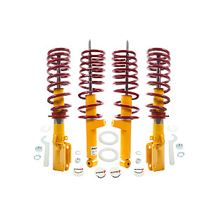 Koni sports kit ( shock absorber x 4 + spring x 4) for Porsche 993 Turbo &bull; 1995 &bull; 993 Turbo &bull; Coupe &bull; Manual Gearbox, 6 Speed