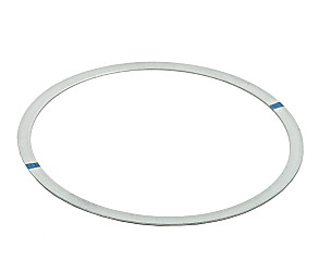 SEALING RING  (021101343)