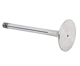 EXHAUST VALVE  (99310541901)
