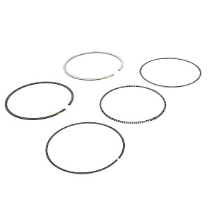 Cylinder pistons / rings for Porsche Cayenne 955 03-06 &bull; 2003 &bull; Cayenne S V8 &bull; Manual Gearbox, 6 Speed