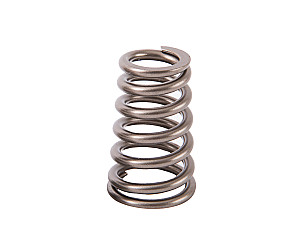VALVE SPRING  (99610511801)