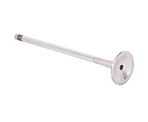 EXHAUST VALVE  (95510561110)